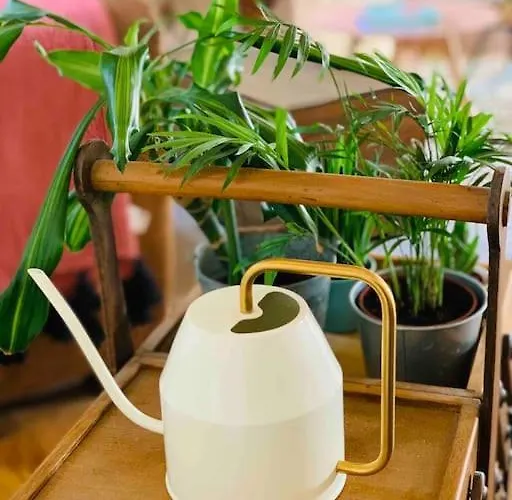 Hébergement de vacances La Petite Maison De Justin - Jacuzzi Privatif