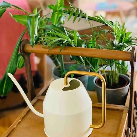 別荘 La Petite Maison De Justin - Jacuzzi Privatif